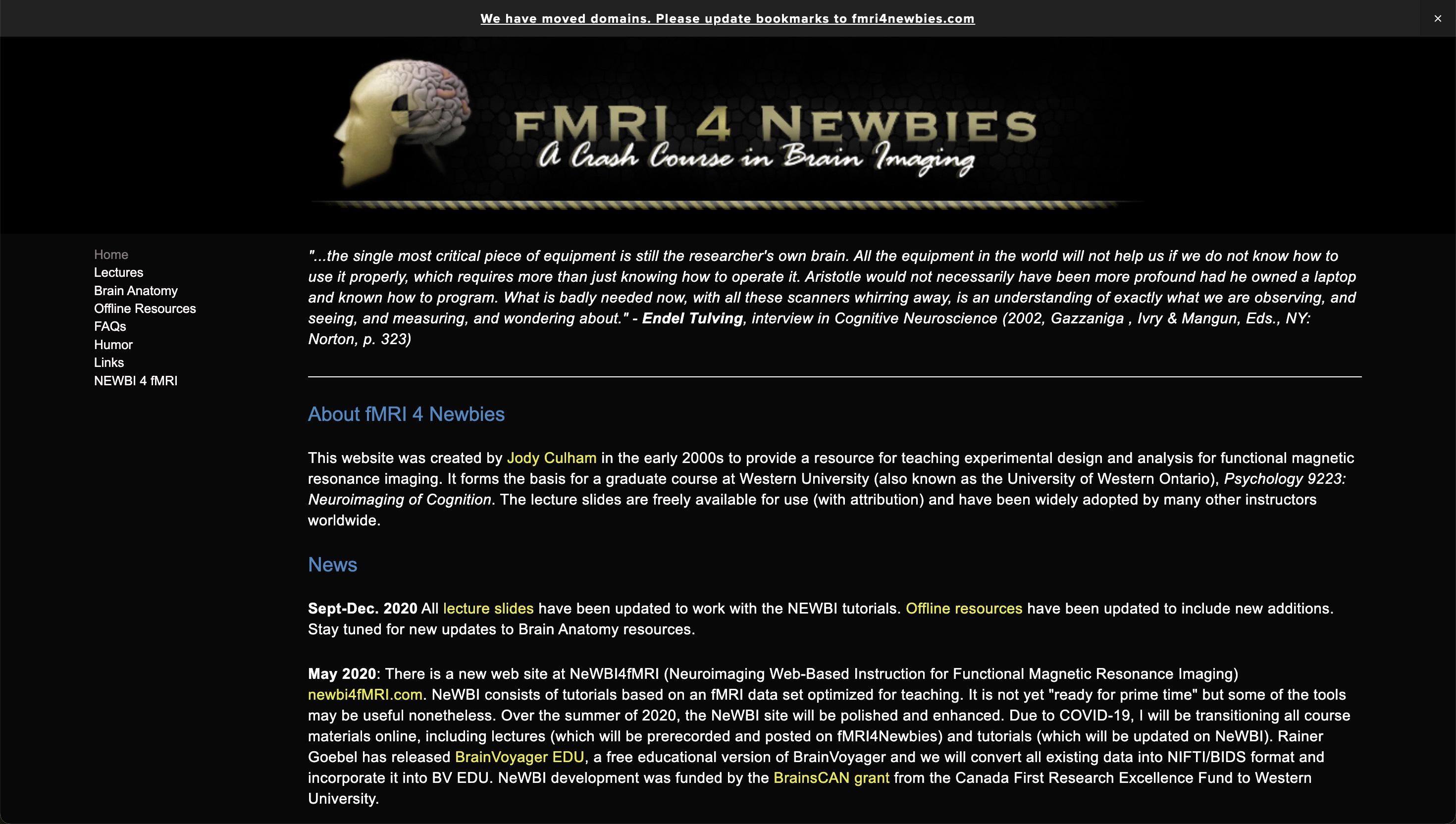 fmri4newbies