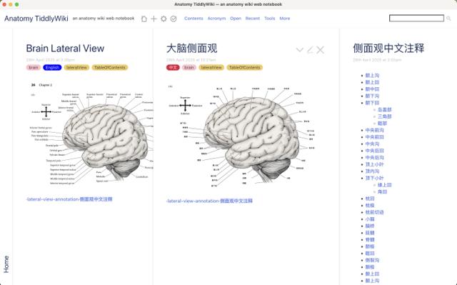 解剖学太微笔记